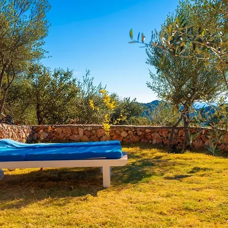 Ambar Villa
